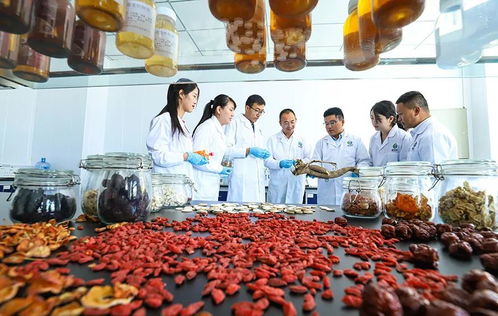 科技賦能，張掖植物工廠助力農特產品提質增效